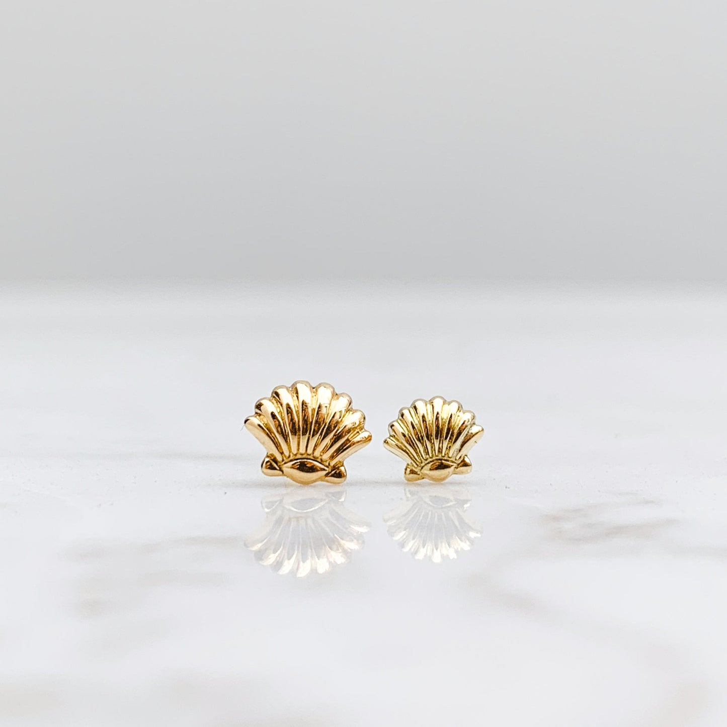 Baby Seashell Stud Earrings in 18K Gold